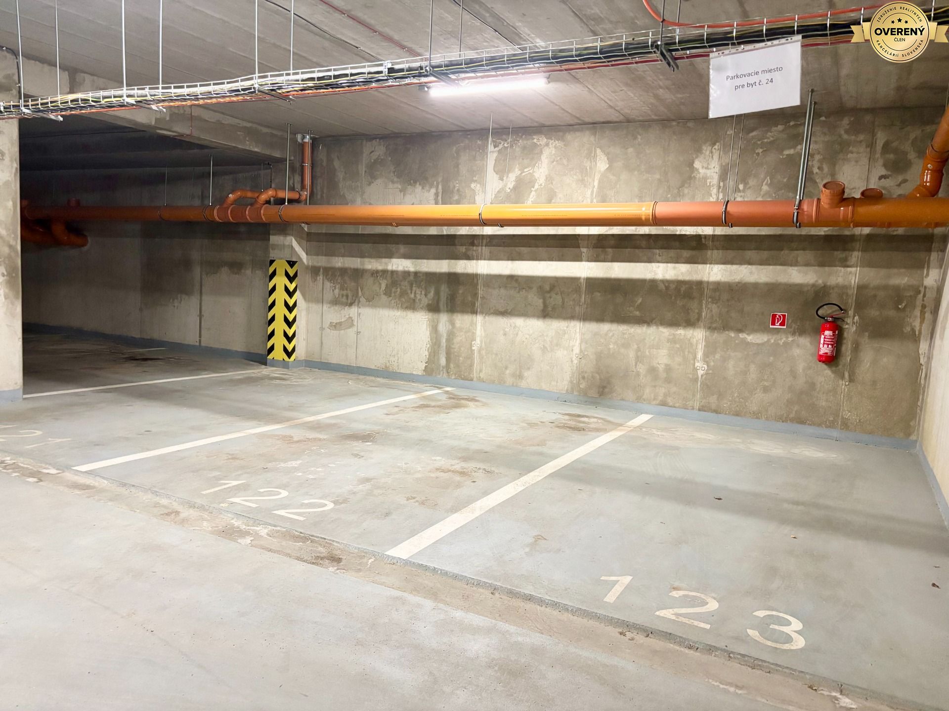IMG_E8271.jpg